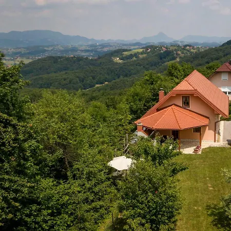 Ferienwohnung Planinca -Hisa Z Razgledom Smarje pri Jelsah Exterior foto