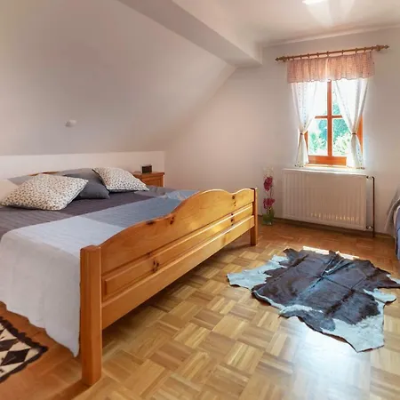 Ferienwohnung Planinca -Hisa Z Razgledom Smarje pri Jelsah Exterior foto