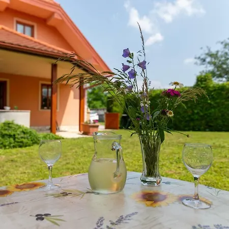 Ferienwohnung Planinca -Hisa Z Razgledom Smarje pri Jelsah Exterior foto