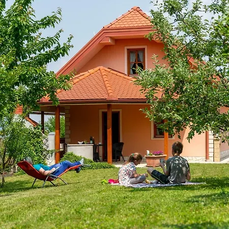 Ferienwohnung Planinca -Hisa Z Razgledom Smarje pri Jelsah Exterior foto