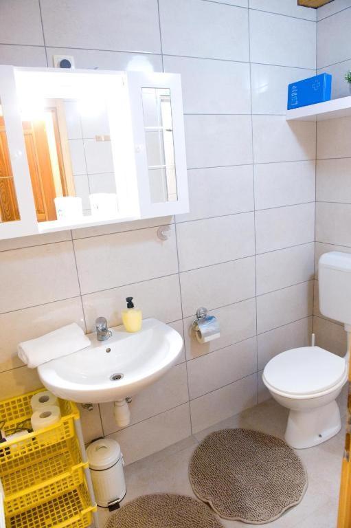 Planinca -hisa Z Razgledom Apartment Smarje pri Jelsah