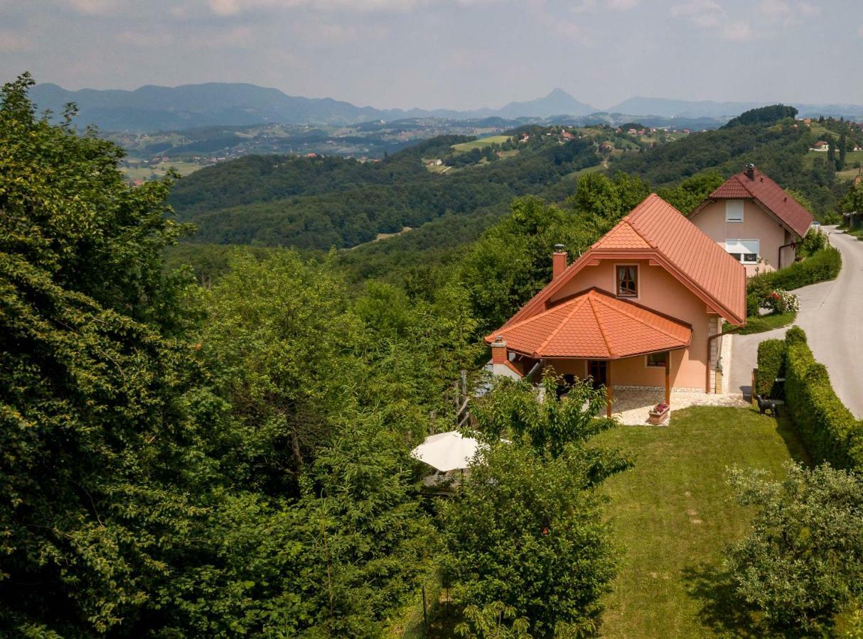 Planinca -hisa Z Razgledom Apartment Smarje pri Jelsah