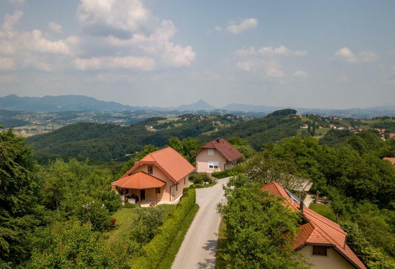 Planinca -hisa Z Razgledom Apartment Smarje pri Jelsah